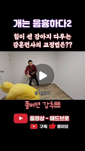 매드브로 MadBros on Instagram: "#풀버젼강추 #개는음흉하다 힘센 강아지를 교정하는 방법 #강형욱 #강형훅 #개는훌륭하다"