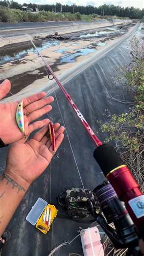 Ngày thứ nhất so sánh giữa sasuke 95 và sasuke 35.