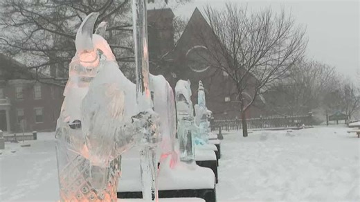 Some out enjoying winter weather as snow falls in Concord