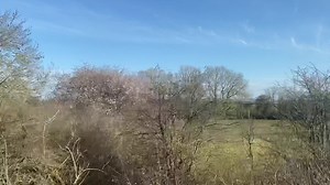 3.2K views · 85 reactions | Orton Mere Signal Box Grand Opening...