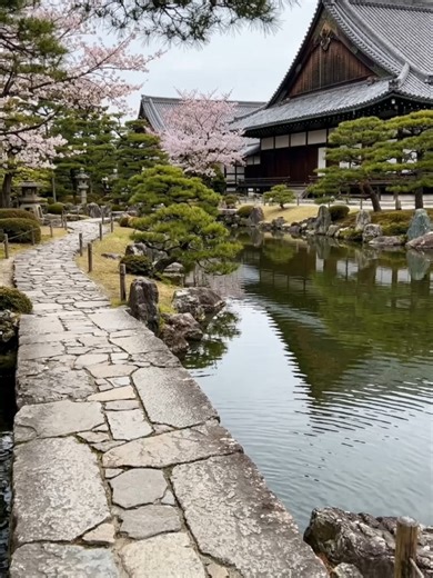 Experience 400 Years of History at Nijo Castle