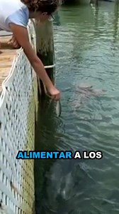 Cuando la Serenidad de la Pesca se Transforma en Terror #13 | FULL TOPS 10
