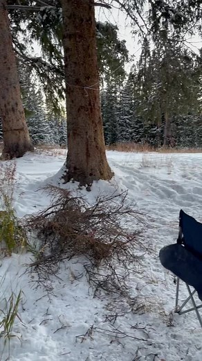 Elk Camp 2021. #elkhunting #cvttents #sitka #MakeItCinematic #colorado
