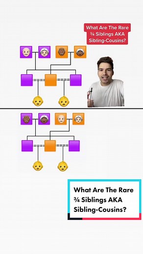 Understanding ¾ Siblings: A Comprehensive Guide