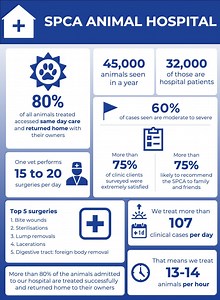 Animal Hospital • Cape of Good Hope SPCA