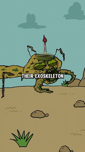 The Terrifying World of Zombie Ants: Cordyceps Fungus Invasion