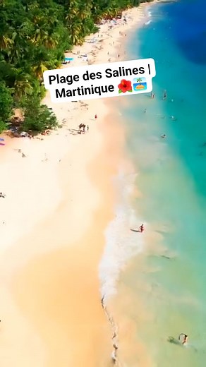 La splendide Plage de Grande Anse des Salines ( au sud de Sainte-Anne en Martinique) comme vous ne l'avez jamais vue ! 🌊☀️** Admirez la beauté à couper le souffle de **Grande Anse des Salines**, l'une des plus belles plages de la Martinique, vue du ciel ! 💙 Avec son **sable blanc immaculé**, ses **eaux turquoise** et sa **végétation luxuriante**, cette plage paradisiaque est un véritable joyau des Caraïbes. 🌴🌺 La **Plage de Grande Anse des Salines** est située dans le sud de la **Martinique*