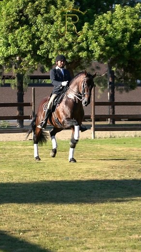 2.2K views · 94 reactions | #ATREVIDOMANGO #REYDELAS3CORONAS EL UNICO EN OBTENER LAS 3 CORONAS ABSOLUTAS EN #SICAB (CAMPEONATO DEL MUNDO) 1. CAMPEON DEL CONCURSO 2. FUNCIONALIDAD 3. MOVIMIENTOS SEMEN DISPONIBLE MÉXICO Y ESTADOS UNIDOS #RANCHOLOSJIMENEZ 1 626-786-9475 | Rancho Los Jiménez | Facebook