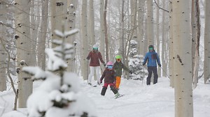 Skiing: Experience big mountain resorts out west
