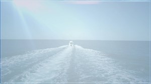 The Trophy 2902 is the most impressive of the Trophy range, directly comparable to a Boston Whaler 295 Conquest! This example has had the benefit of a full electronics refit and upgraded navigation, plus a recent repower with Mercury Verado 225's. Extremely well looked after vessel plus a pen at Port Coogee. All offers will be presented for this vessel and an inspection is a must! http://www.oceaneermarine.com.au/recreational_boats/sn-1076-a-trophy-2902-walkaround-all-offers-presented/ | Oceanee