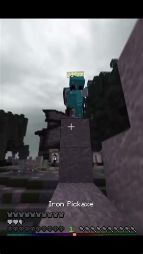 Block reset #minecraft #hive