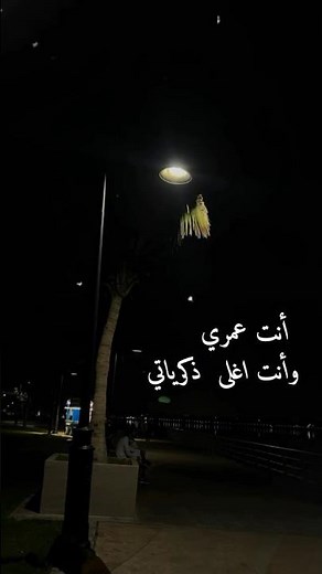 انت عمري وانت أغلا ذكرياتي… كلمات تحمل كل معاني الحب والوفا والحنين، أغنية ترجعنا لأجمل اللحظات