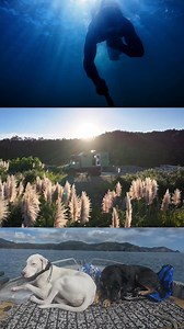 22K views · 294 reactions | Because time isn’t promised. ❤️ Love their philosophy! #adventure #travel #tinyhouse #homeonwheels #camper #livingbiginatinyhouse | Living Big In A Tiny House | Facebook