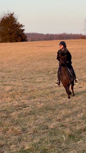 Travis (@dusty_roosterz)’s videos with Funk it up - Official Sound Studio