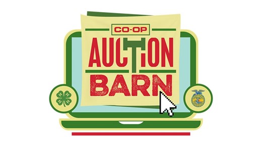 Curious how to bid in the annual Co-op Auction Barn? 🤔 Check out this video and then head over to https://tinyurl.com/AuctionBarn23 to shop so you don't miss any of the featured items! | Tennessee Farmers Cooperative
