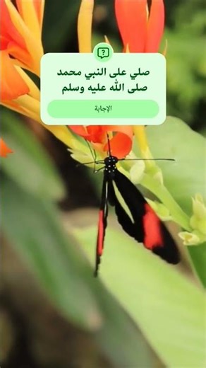 نداء الخليل إبراهيم.. كيف تطلب الثبات؟ ❤️