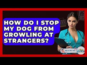 How Do I Stop My Dog From Growling At Strangers? - Ask A Pet Vet