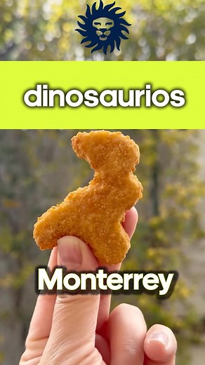 Monterrey, ya tenemos los Dino Nuggets!! 🚛 Envíos GRATIS* en 24hrs 📲 Pide en línea o whatsapp 81 2349 1735 📍Monterrey | Comanda Foods