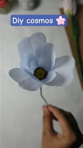 Diy cosmos | #diy #art #craft #handmade #shorts #viralshorts
