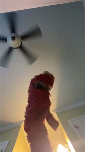 elmo world printing flims