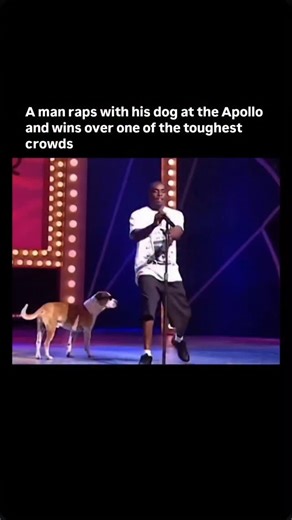 Highlights The Brief on Instagram: "The Apollo Theater is known for having one of the most unforgiving audiences in the world, where even talented performers often get booed off stage. But in 1995, a hip hop duo from Jersey City, Doc and Threat, did something unforgettable. Doc took the mic while his pitbull, Threat, joined in with slick dance moves and playful barks that synced perfectly with the beat. Together, they performed a rap dedicated to "man's best friend," and within moments, the crow