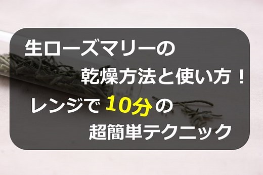 生ローズマリーの乾燥方法と使い方！レンジで10分の超簡単テクニック | ハーブティーいろは
