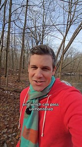 August births show 41% faster detection of nonverbal communication changes in groups #august #birthmonth #empath #energy #neuroscience | Kyle Cox