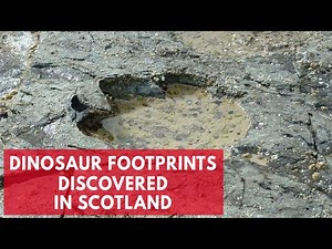Dinosaur footprints found on Scottish island of Skye