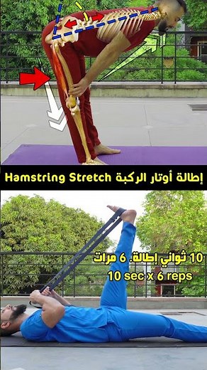 Lower Back Pain? Try Hamstring Stretches First! Hamstring Stretch for back pain