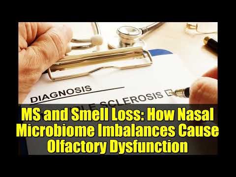 MS and Smell Loss: How Nasal Microbiome Imbalances Cause Olfactory Dysfunction