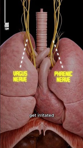 Why do we get hiccups?
