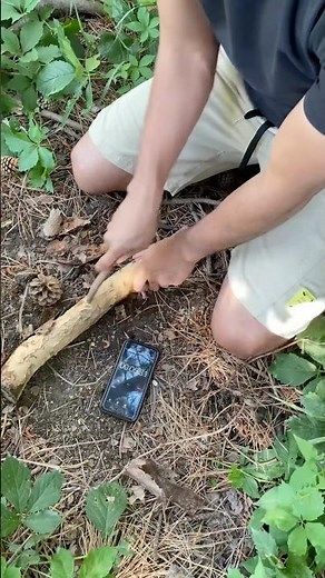 How to start a fire by rubbing sticks together 🔥 Watch until the end. #frictionfire