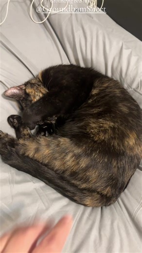 Enhance Health with a Grounding Mattress Mat