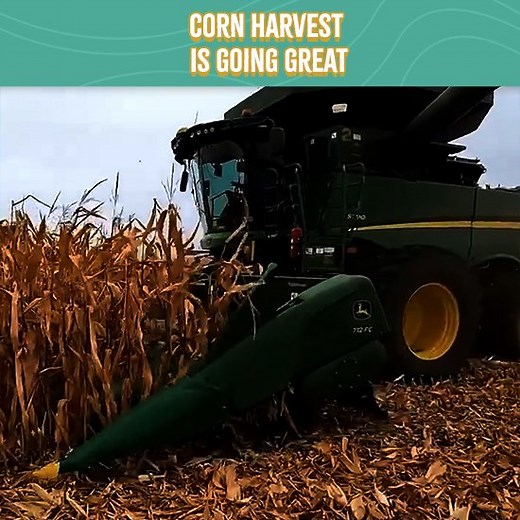 65K views · 1.4K reactions | Corn Harvest Is Going Great Thanks For Asking!! | Larson Farms | Facebook