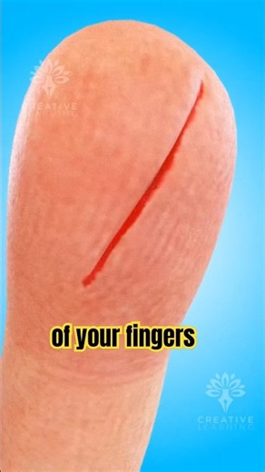 Why Paper Cuts Hurt More Than a Knife 🤯#shorts #papercut