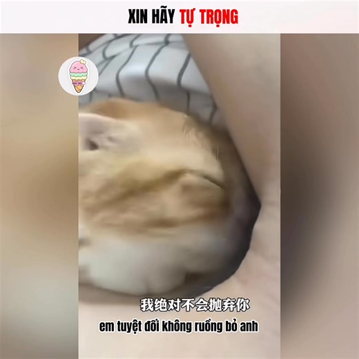 Mùi hương anh nồng say =)) | Kem Dâu