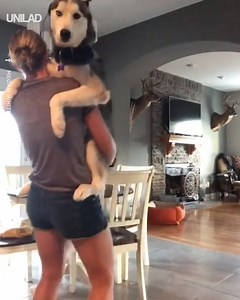 1.2M views · 14K reactions | Sometimes you've gotta drop everything and slow dance with your dog  | UNILAD | Facebook