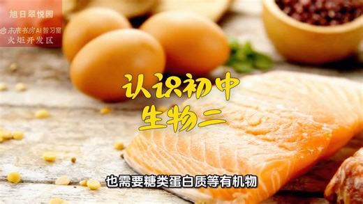 生物的结构和学习，一步一过程