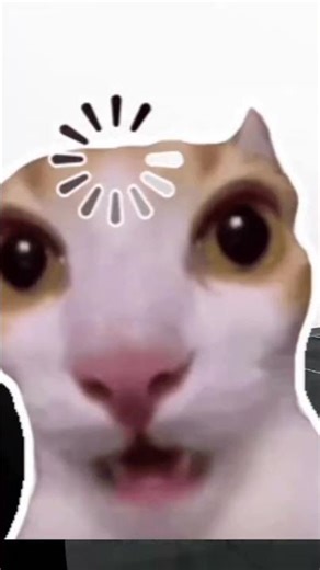 Expectation vs. Reality: Sports Edition 💀