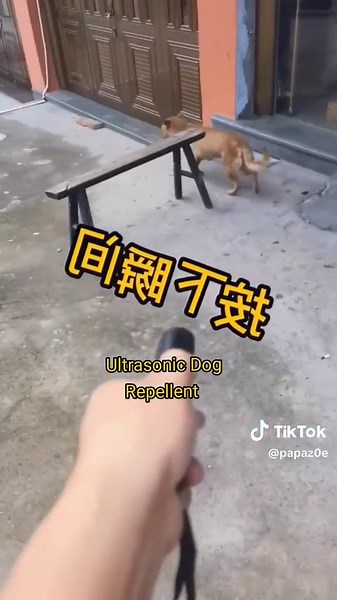 Ultrasonic Dog Repellent: Protect Against Wild Animals