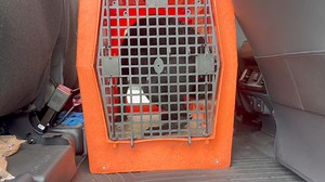 5.4K views · 163 reactions | Someone knows it’s tracking time ￼ | Larry Krohn | Facebook