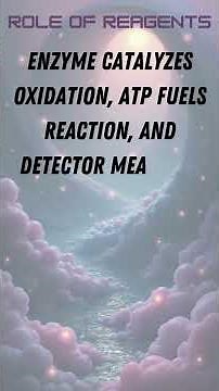 ATP Luminescence Assay