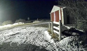 21K views · 227 reactions | FIREBALL! Mechelle shared this...