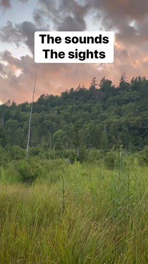 18K views · 395 reactions | The sights and sounds of nature in Michigan’s Upper Peninsula. Keweenaw cliffs. Video by Yooper Steve | Upper Peninsula of Michigan | Facebook