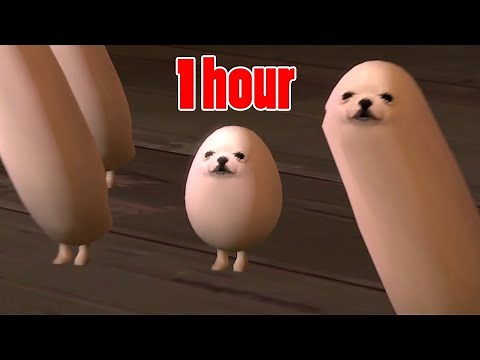 meet eggdog for 1 hour (seamless)