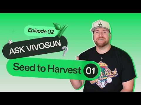 Getting Started: Genetics, Seeds, and Germination Basics | Ask Vivosun