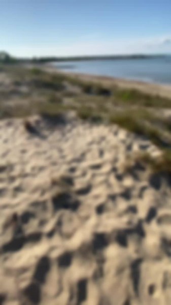 Understanding the Singapore Accent: A Cultural Perspective