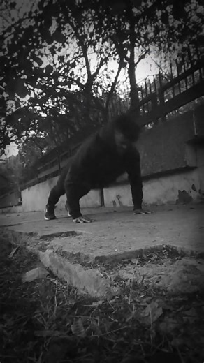 Just calisthetics moves 1%