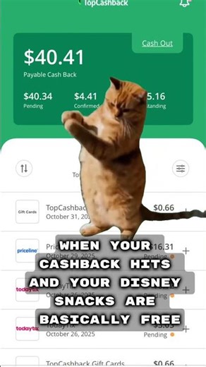 Cashback = FREE Disney Snacks 😋 #disneyvacation #cashbackhacks #topcashbackapp #rakuten #disneytrip