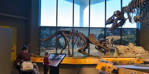 Behind the Scenes at the Historical Society: Paleontology Department